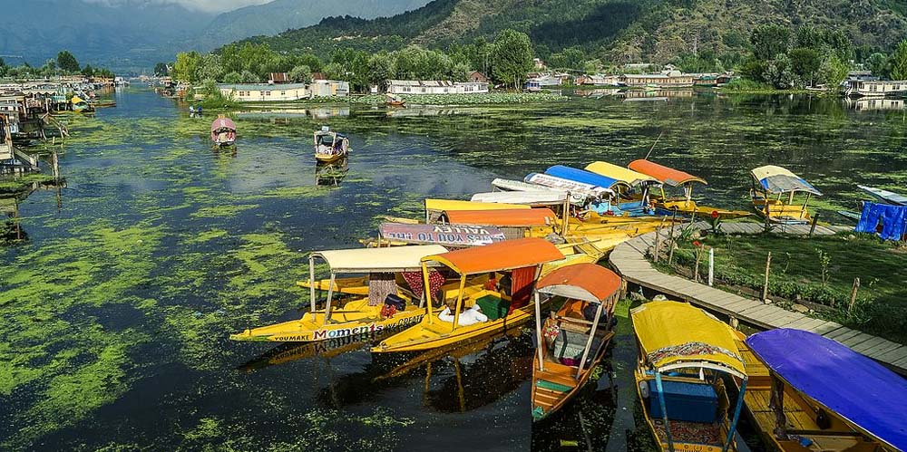 12-days-golden-triangle-tour-with-kashmir
