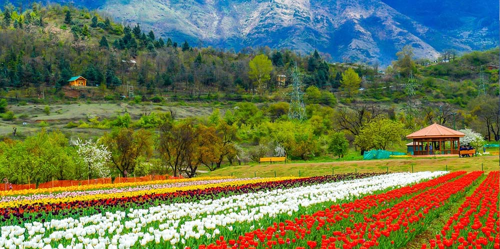  12-days-golden-triangle-tour-with-kashmir