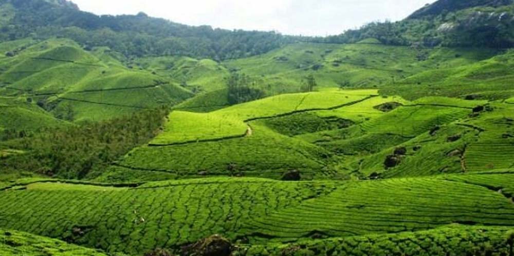 kerala-honeymoon-tour-package