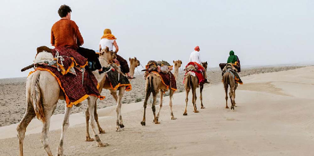 royal-rajasthan-tour
